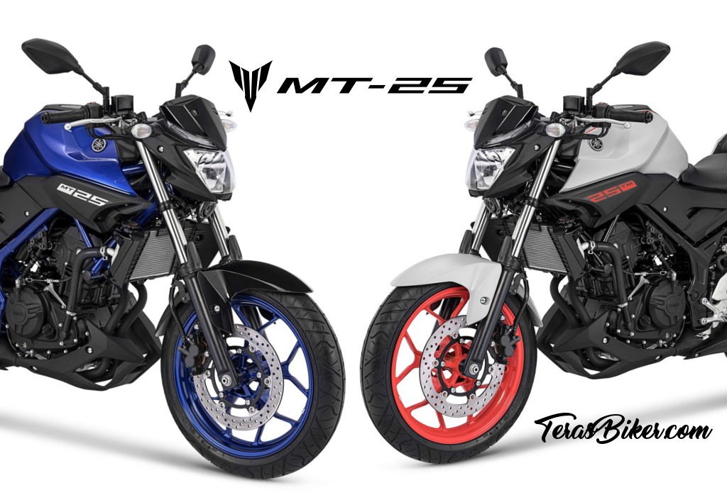 Duo Naked Sport 250 Cc, KTM New Duke 250 VS Yamaha MT25 